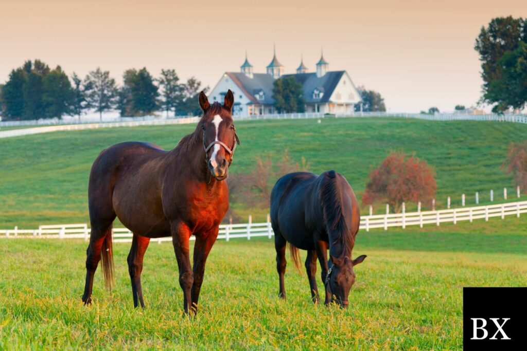 Kentucky Money Transmitter Bond