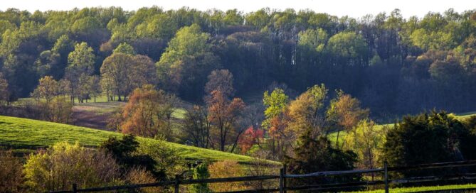 Virginia Mortgage Lender Bond