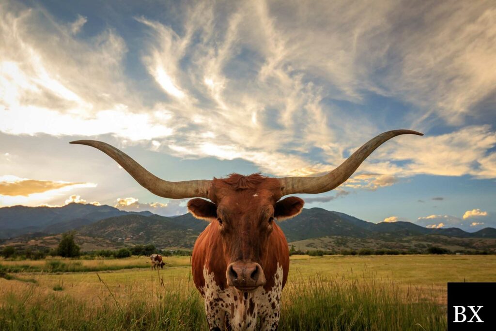 Texas Money Transmitter Bond: