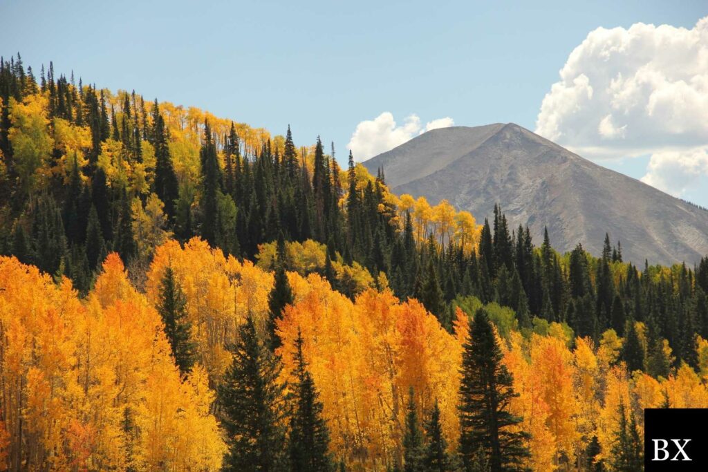 Colorado Lost Title Bond