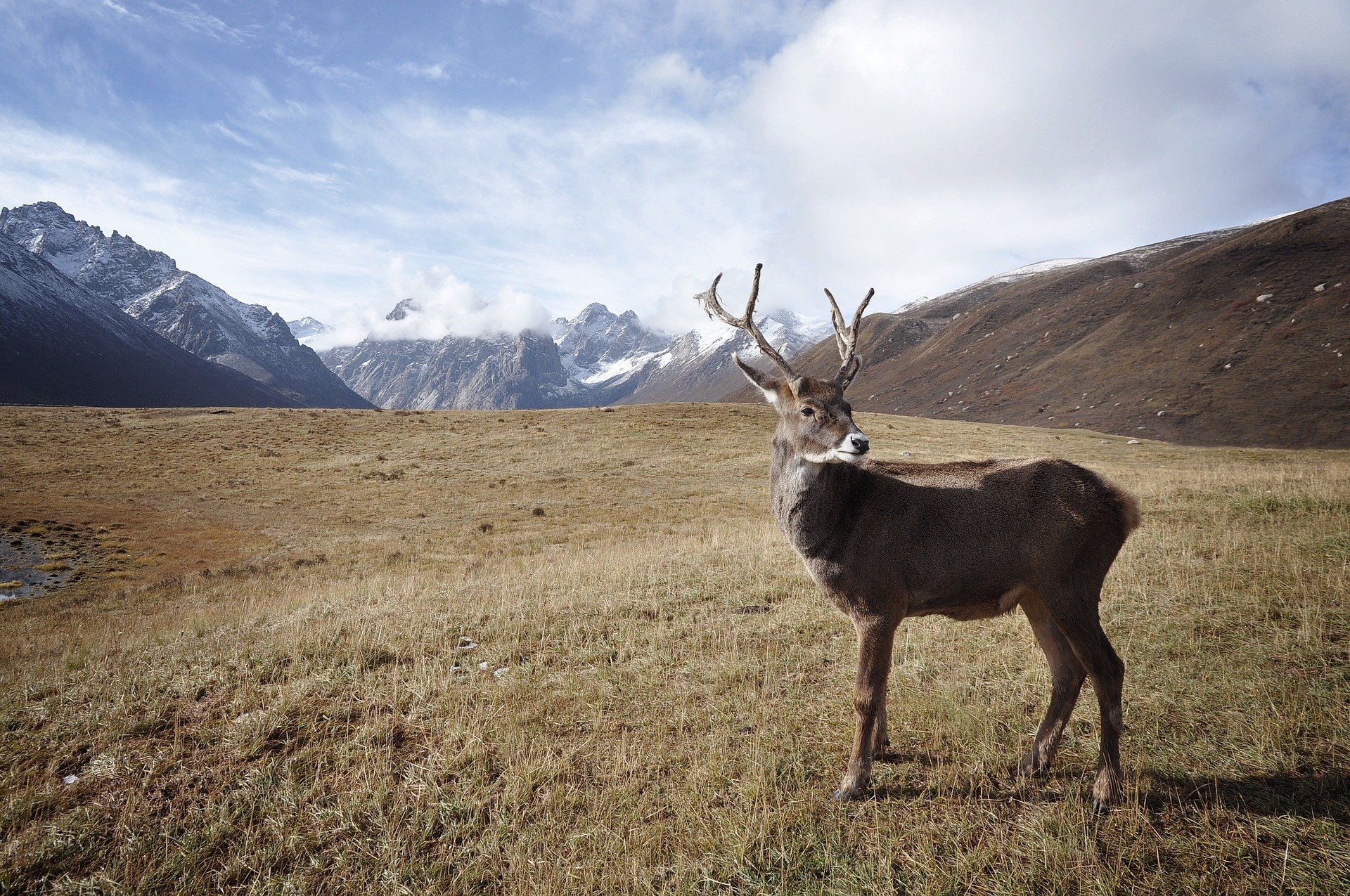 Alaska Land Use Bond